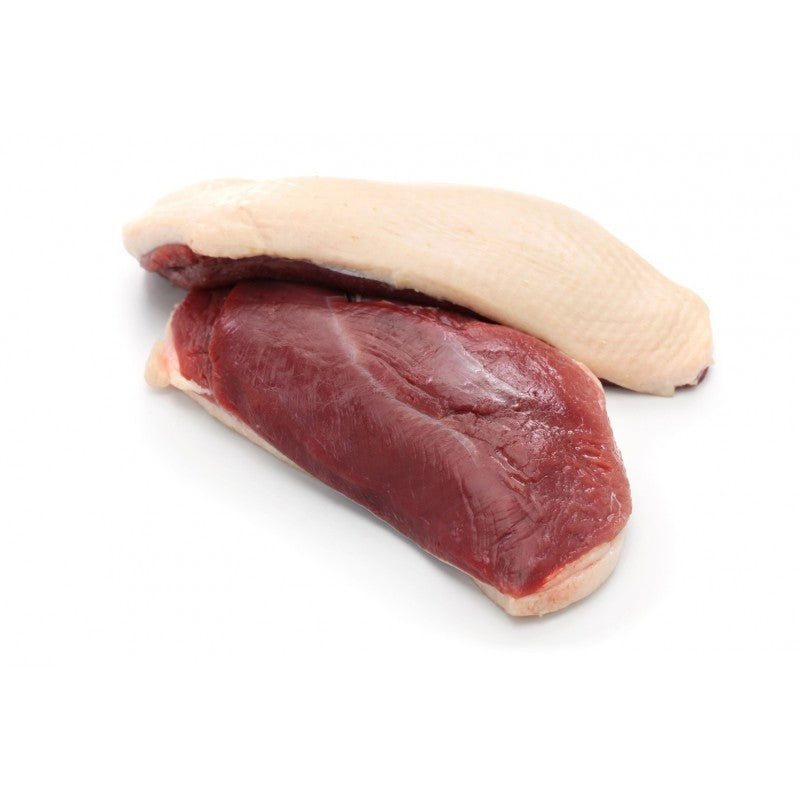 Filet z kaczki